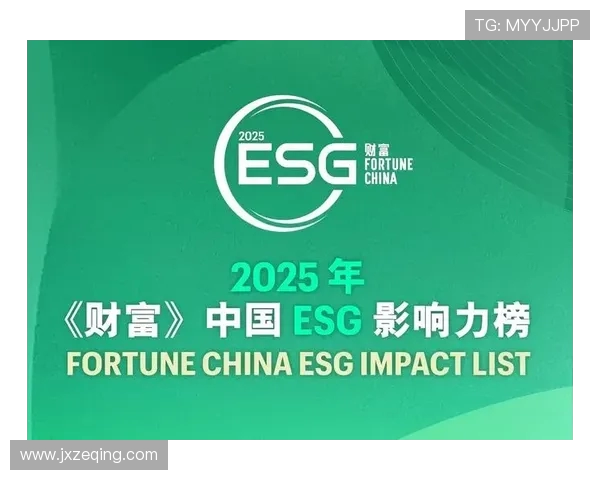 《德甲球队老板财富状况对比与俱乐部运营影响分析》