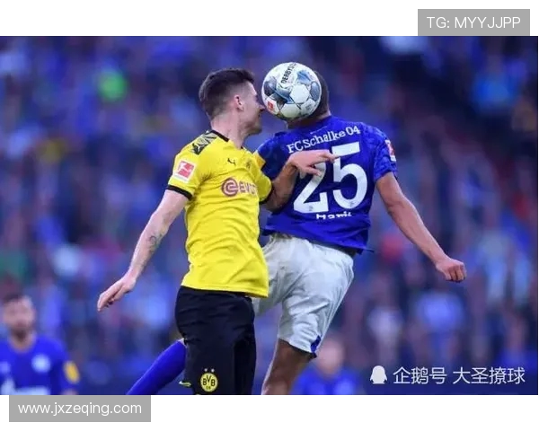 哪些德甲球队有中国资本入股?中资背景调查 哪些德甲球队有中国资本入股?中资背景调查