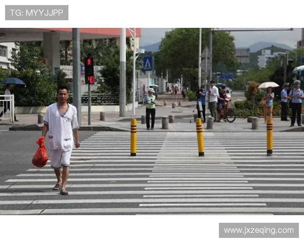 三球闯红灯引发热议网友调侃马路是我家交规算什么 三球闯红灯引发热议网友调侃马路是我家交规算什么